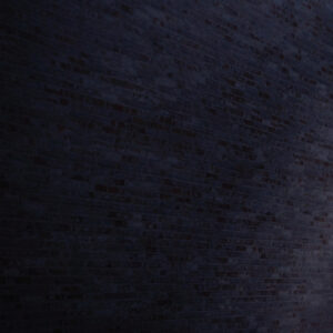 Carrying The Message To Correctional Facilities