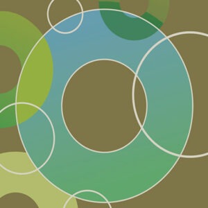 G.S.R. General Service Representative